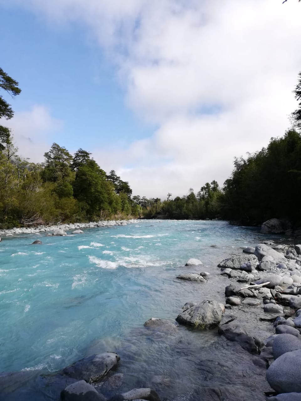  INFORME TARIFARIO PARA ELECCION(ES)  - 2024