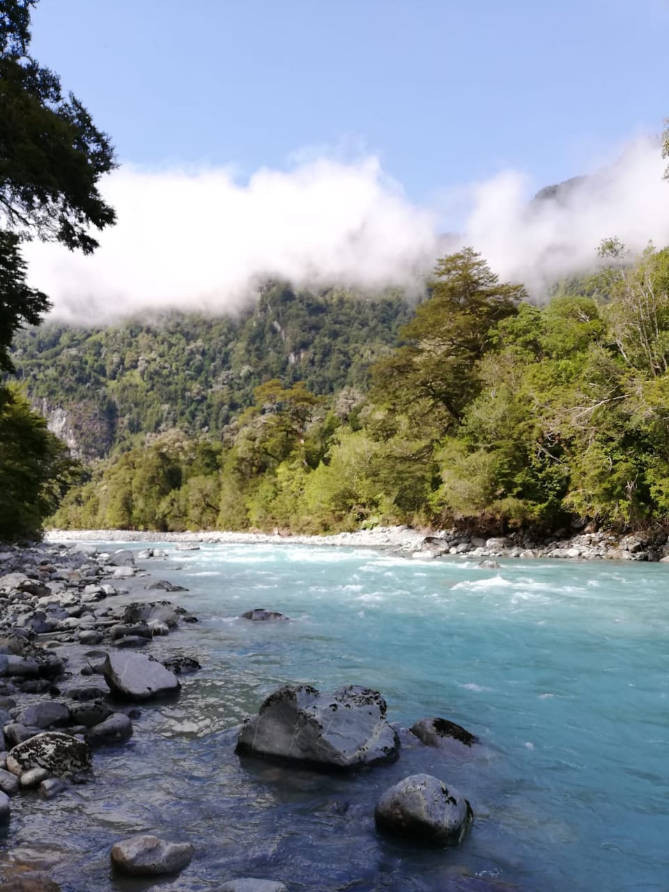 EN LA COMUNA DE HUALAIHUE